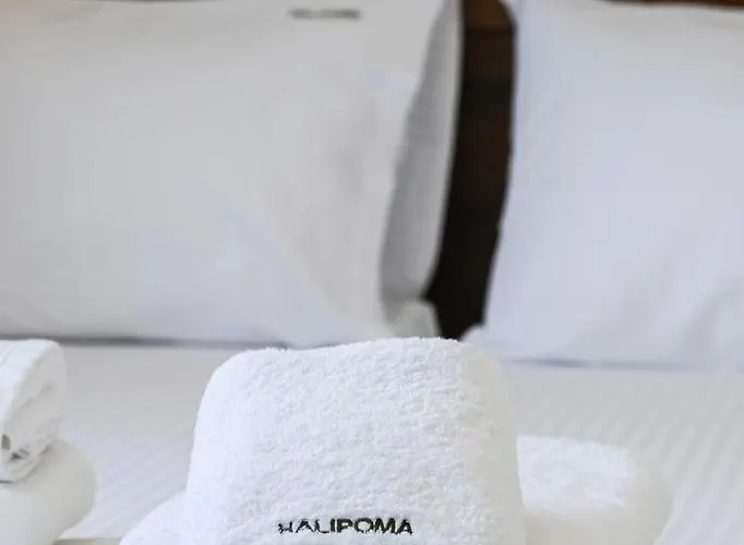 Penelope Halipoma Villa *